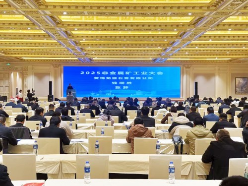 華特集團執行總裁王前出席參加2025中國非金屬礦工業大會